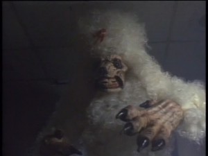 Floofsoms je roztomilost sama.