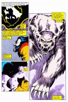 Ukázka z komiksu Ultimátní komiksový komplet 4: Wolverine.