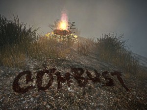 "Combust", tedy "spálit". Jinak přeloženo: Tady máte nápovědu a teď si s ní dělejte, co chcete...