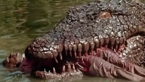 ale krokodýl zabíjí dobře.